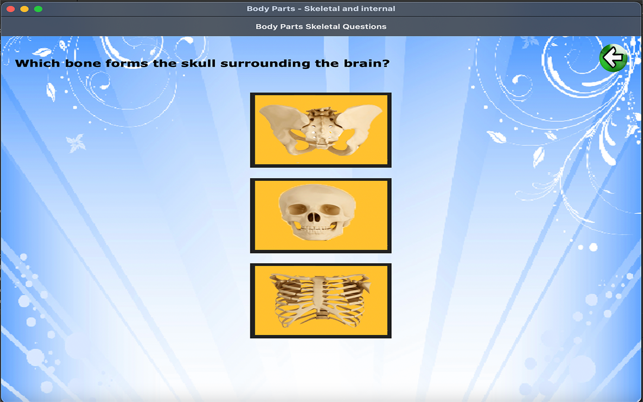 ‎Body Parts Skeletal & Internal Screenshot