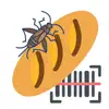 Insects in Food App Feedback