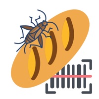 Insekten in Lebensmitteln