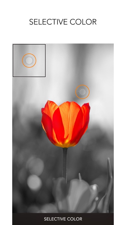 PICSPLAY Classic screenshot-6