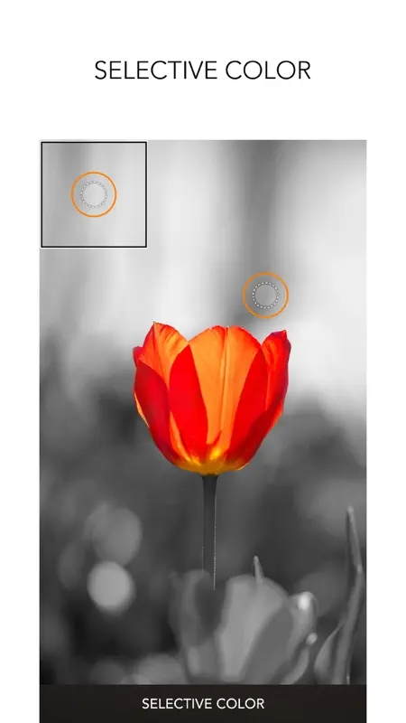 PICSPLAY Classic screenshot 7 of 7