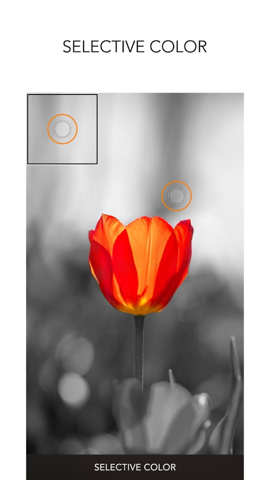#7. PICSPLAY Classic (iOS) By: JellyBus Inc.