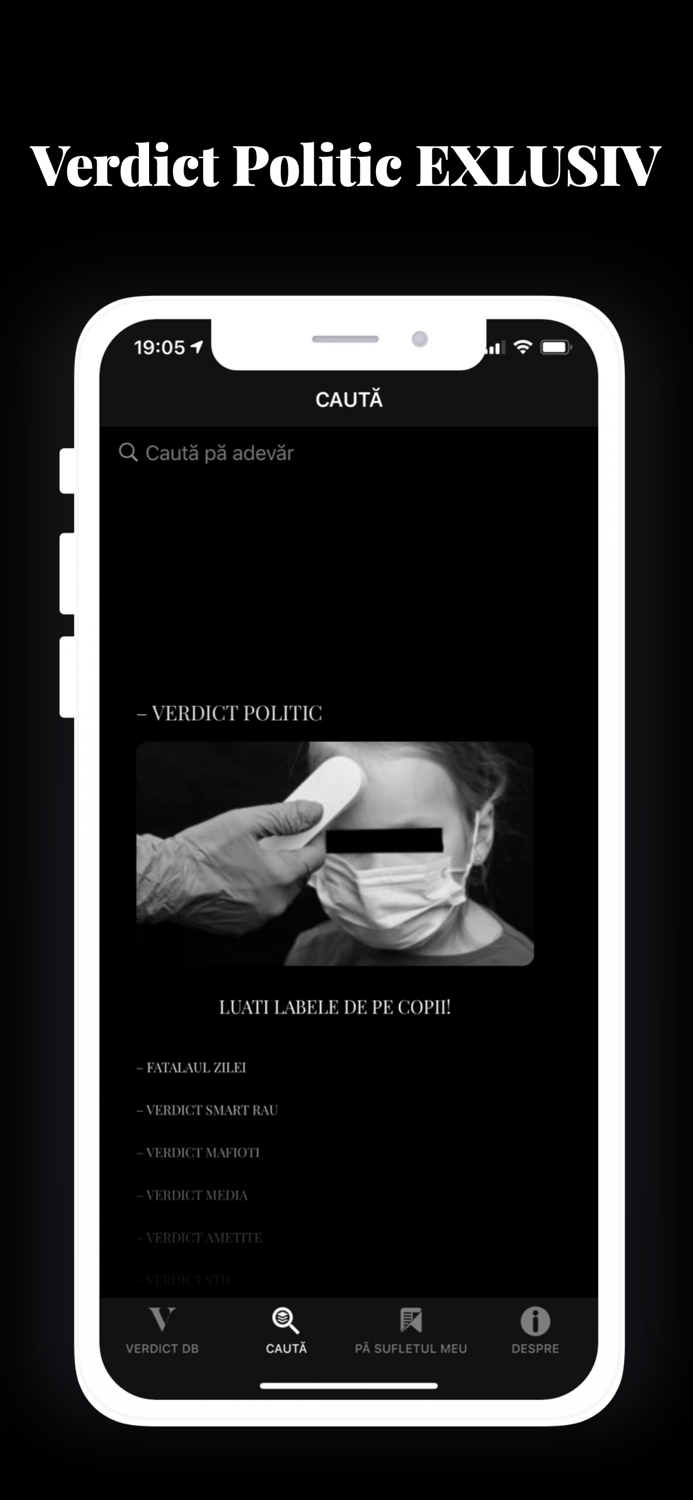 Verdict Dana Budeanu