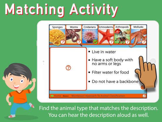 Animal Kingdom (Invertebrates) iPad screenshot