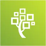 FamilySearch Memories App Alternatives