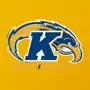 Kent State Athletics