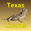 Texas Lizards icon