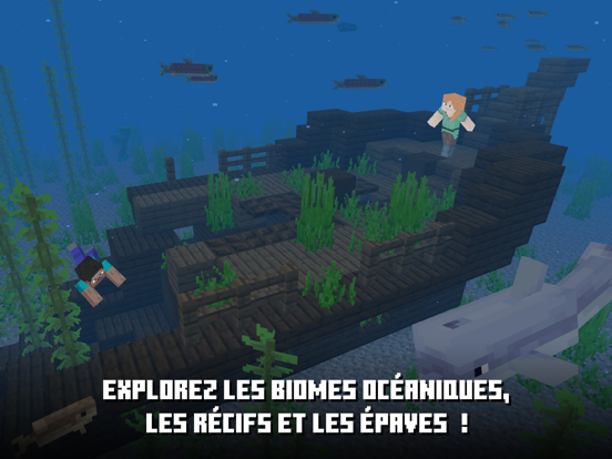 Minecraft App Store preview screenshot 19