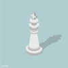 Chess Opening App icon