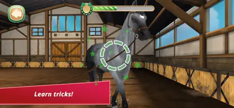 Horse Hotel - care for horses