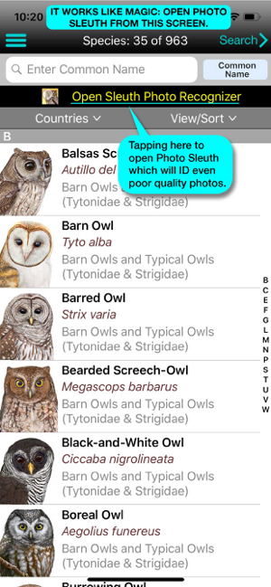 Captura de pantalla d'iBird Ultimate Guide to Birds