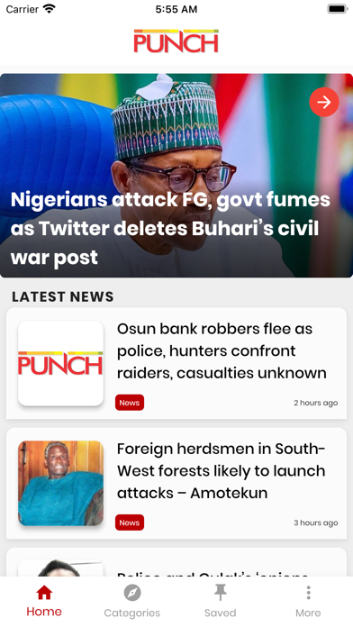 Punch News Screenshot