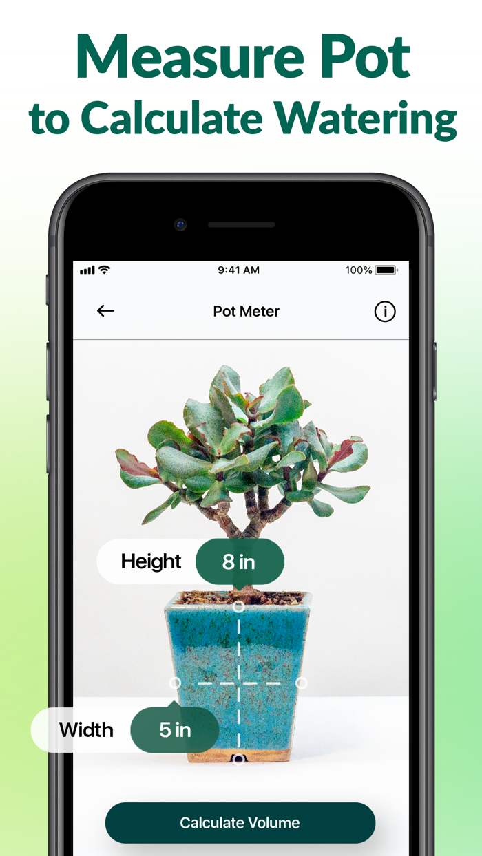 Plantum - AI Plant Identifier