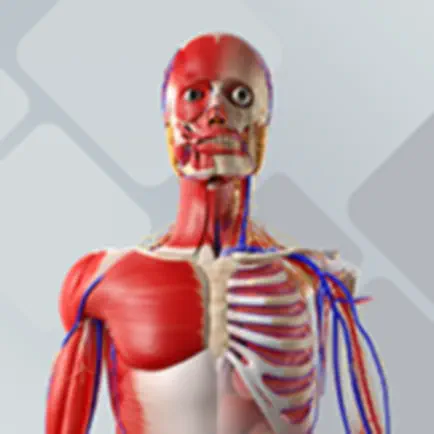 BioAtlas Cheats