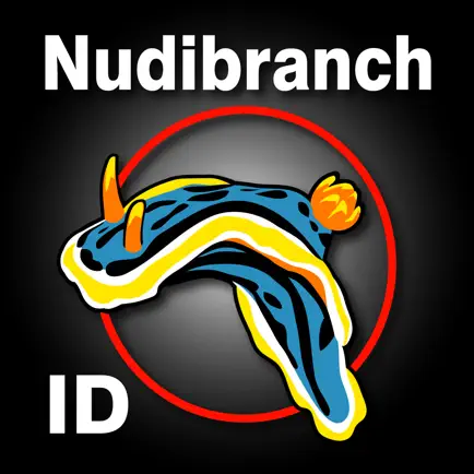 Nudibranch ID Indo Pacific Читы