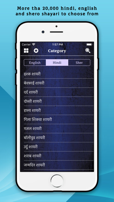 Hindi English Shayari App Screenshot