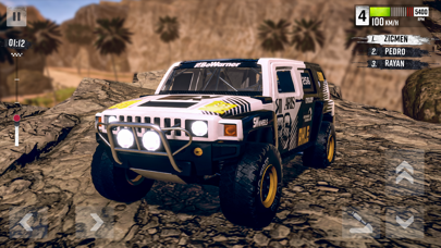 Rally Race: Offroad Screenshot