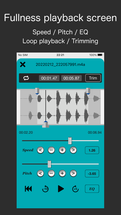Audio Recorder - WAV, M4A Screenshot