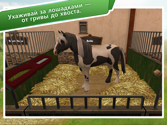 Лошадиный мир: Премиум на iPad