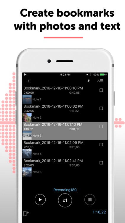 Alon Dictaphone-Voice Recorder screenshot-5