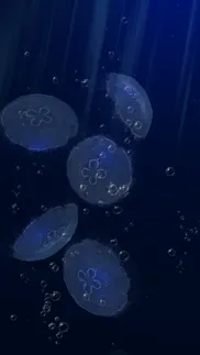 How to cancel & delete jellyfishgo - appreciation 4