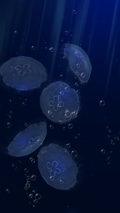 JellyfishGO -  Appreciation Screenshot