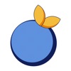 Blue Orange Companion icon