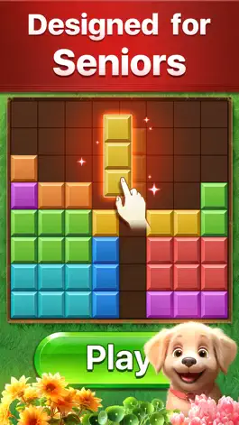 Game screenshot Vita Block for Seniors mod apk