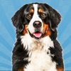 Dog Simulator-Pet Animal Life icon