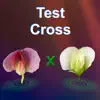 Test Cross: pea flower contact information