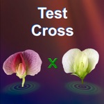 Download Test Cross: pea flower app