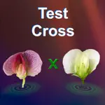 Test Cross: pea flower App Support