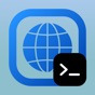 Inspect Browser app download