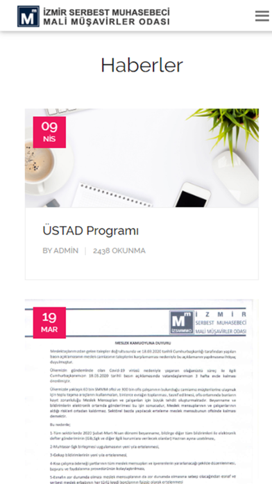 IZSMMMO Screenshot