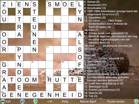 Compact Kruiswoordraadsel iPad app afbeelding 8