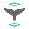 Whale Alert icon