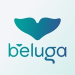 Download Beluga Kitchen app