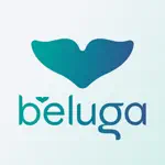 Beluga Kitchen App Contact