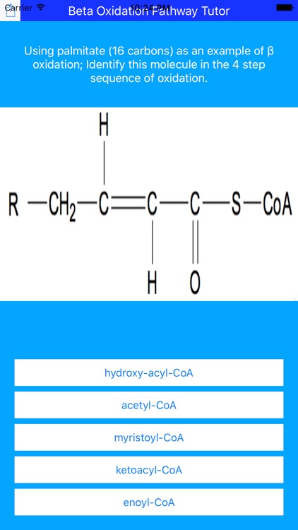 Beta Oxidation Pathway Tutor