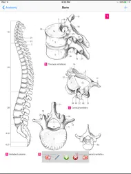 Anatomy Atlas ipad bilder 0