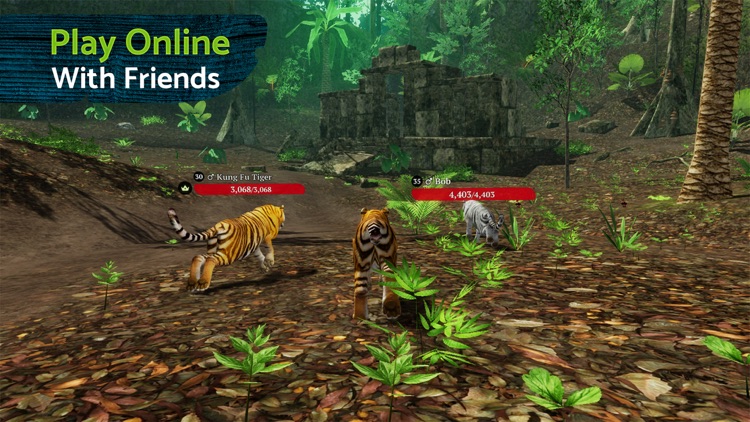 The Tiger Online RPG Simulator by Swift Apps sp. z o.o. sp. kom.