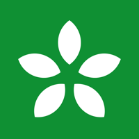 Высшая Лига онлайн