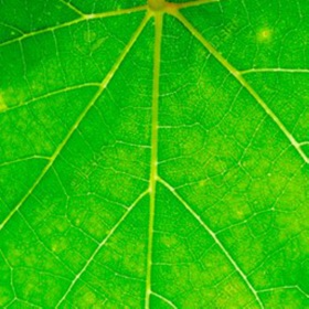 스크린샷 (7) Save the Waste