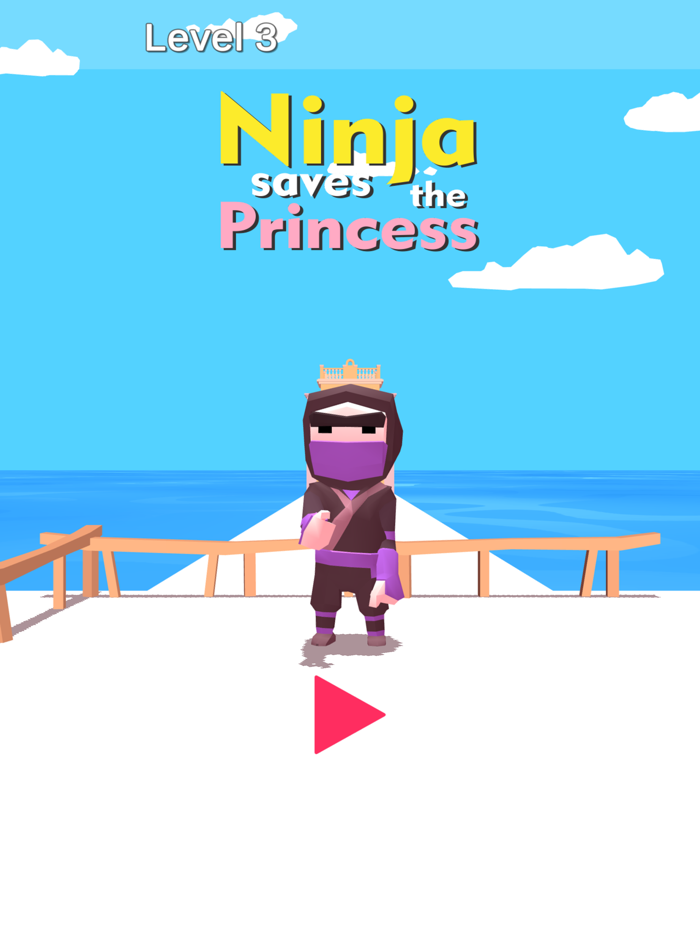 Ninja Saves The Princess