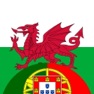 Get Dicionário Galês-Português for iOS, iPhone, iPad Aso Report