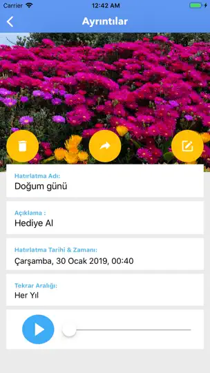 Hatırlatıcı iPhone Ekran Görüntüsü 7