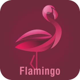 螢幕擷取畫面 (3) FLAMINGO LED