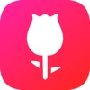 The Rose League - iPhoneアプリ