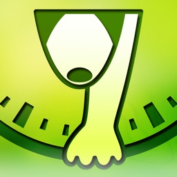 AzuminoAgilityTimer