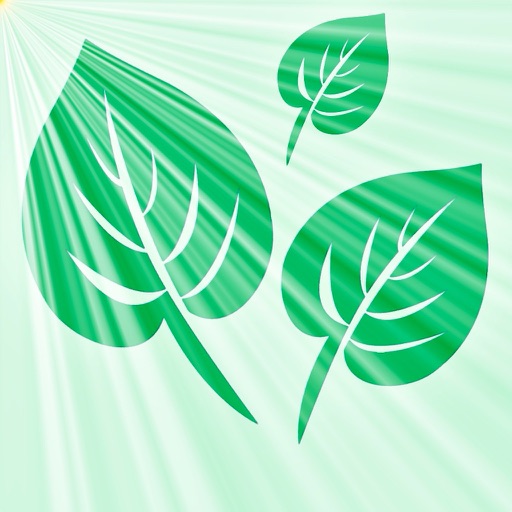 Yezi Fresh - AppWisp.com Yezi Fresh - AppWisp.com